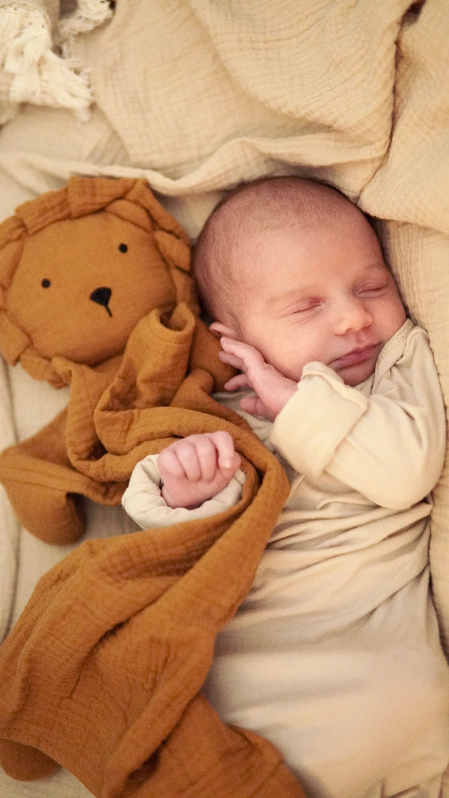 Toffee Lion Lovey Blanket