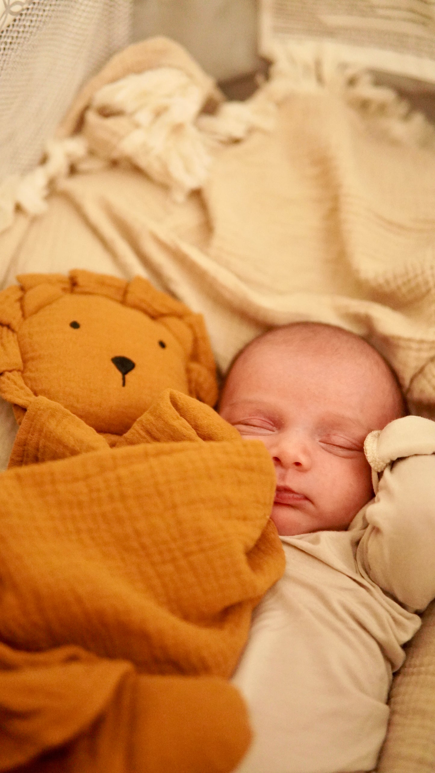 Toffee Lion Lovey Blanket