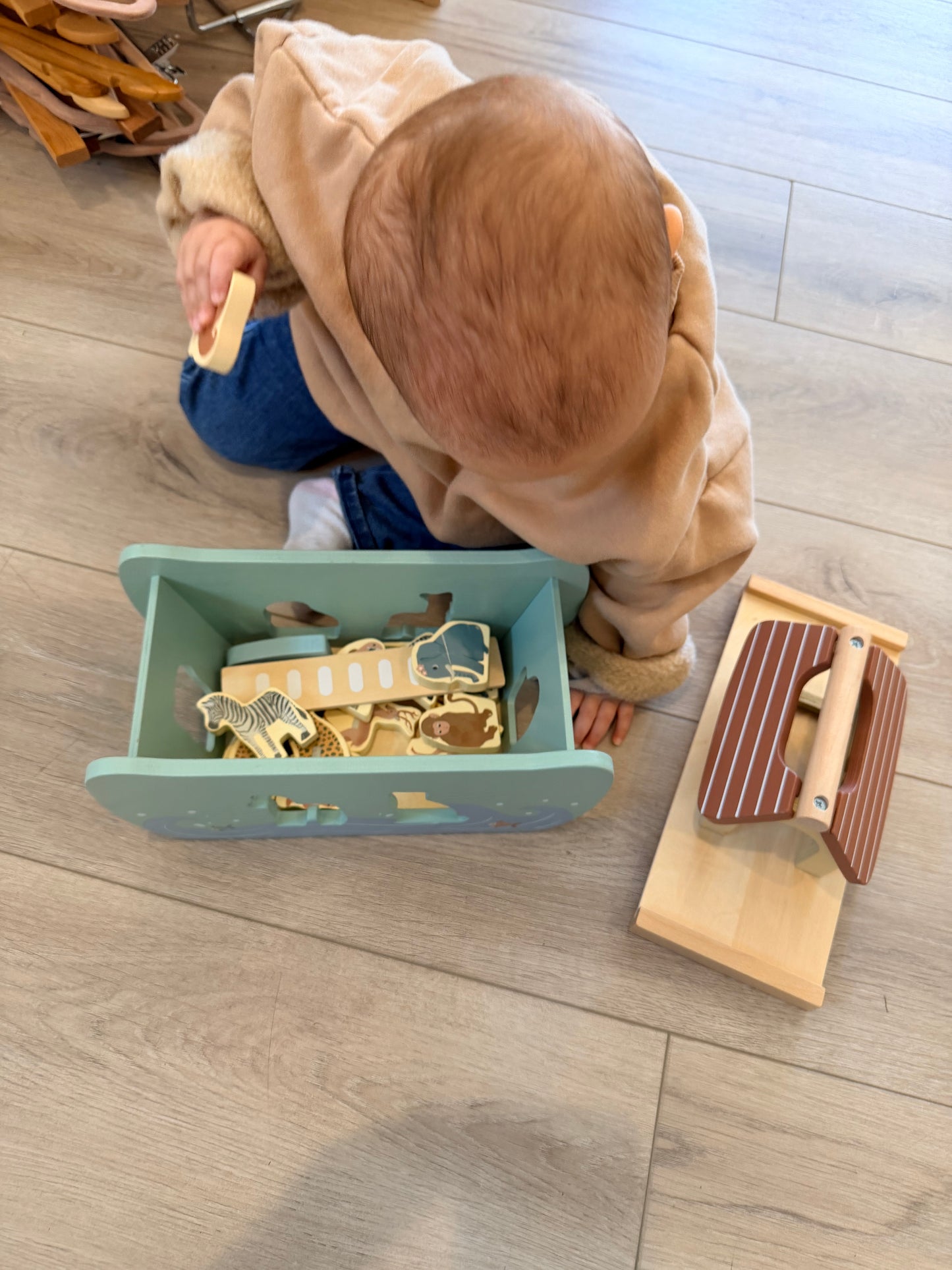 Noah's Ark Wooden Shape Sorter