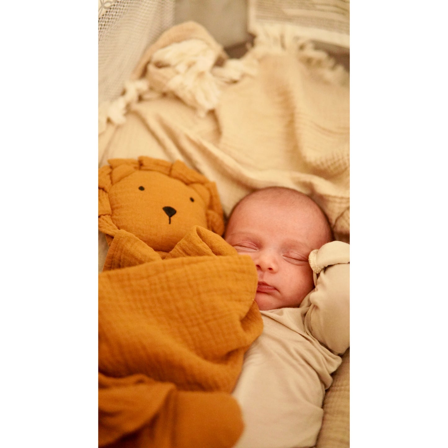 Toffee Lion Lovey Blanket