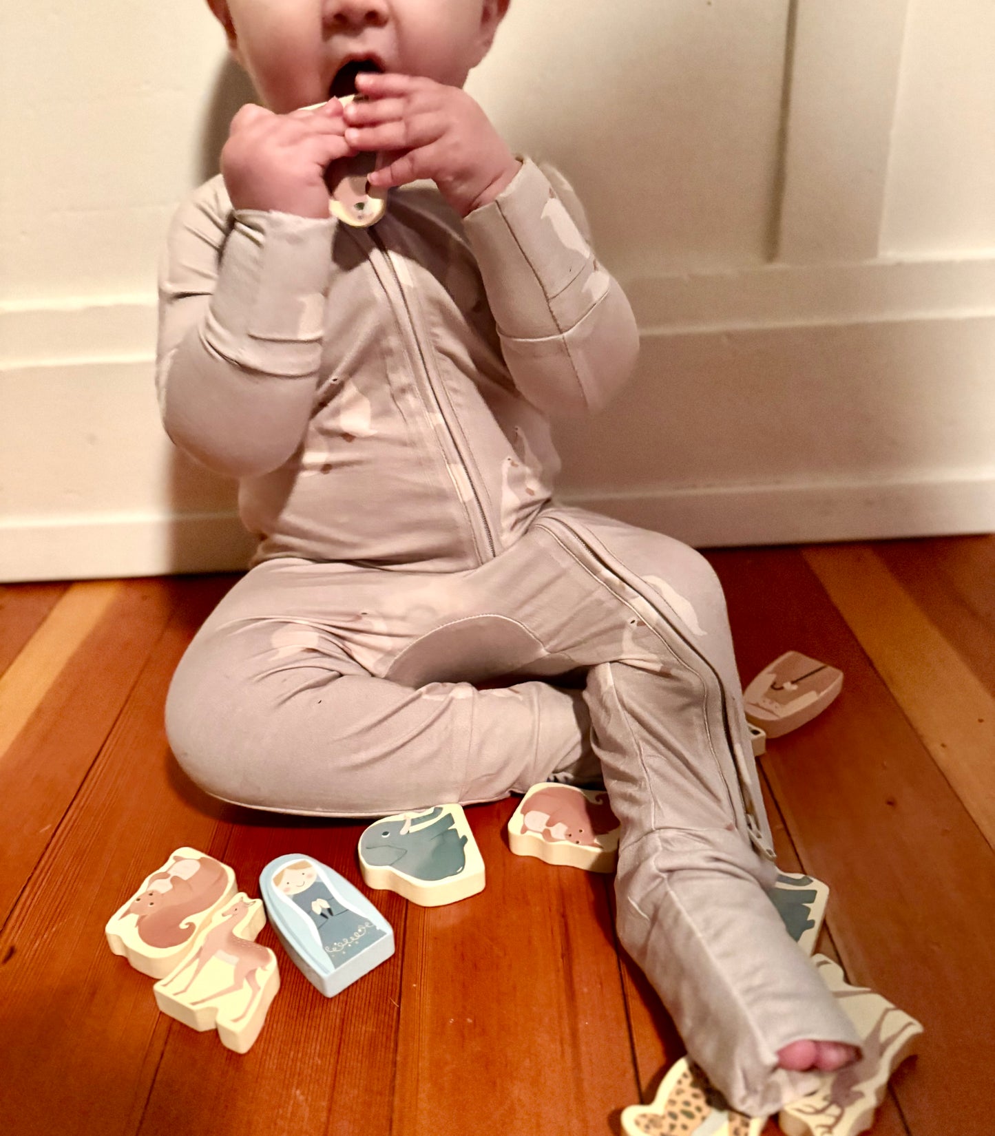 Noah's Ark Wooden Shape Sorter