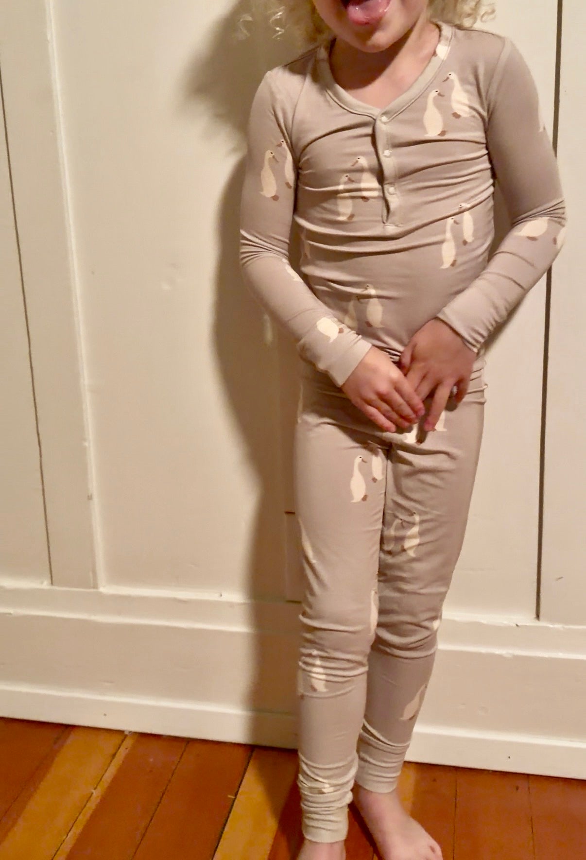 Bamboo Zip Pajamas | Silly Goose