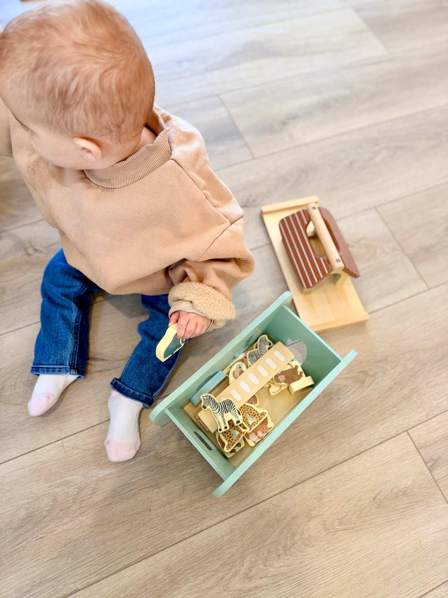 Noah's Ark Wooden Shape Sorter
