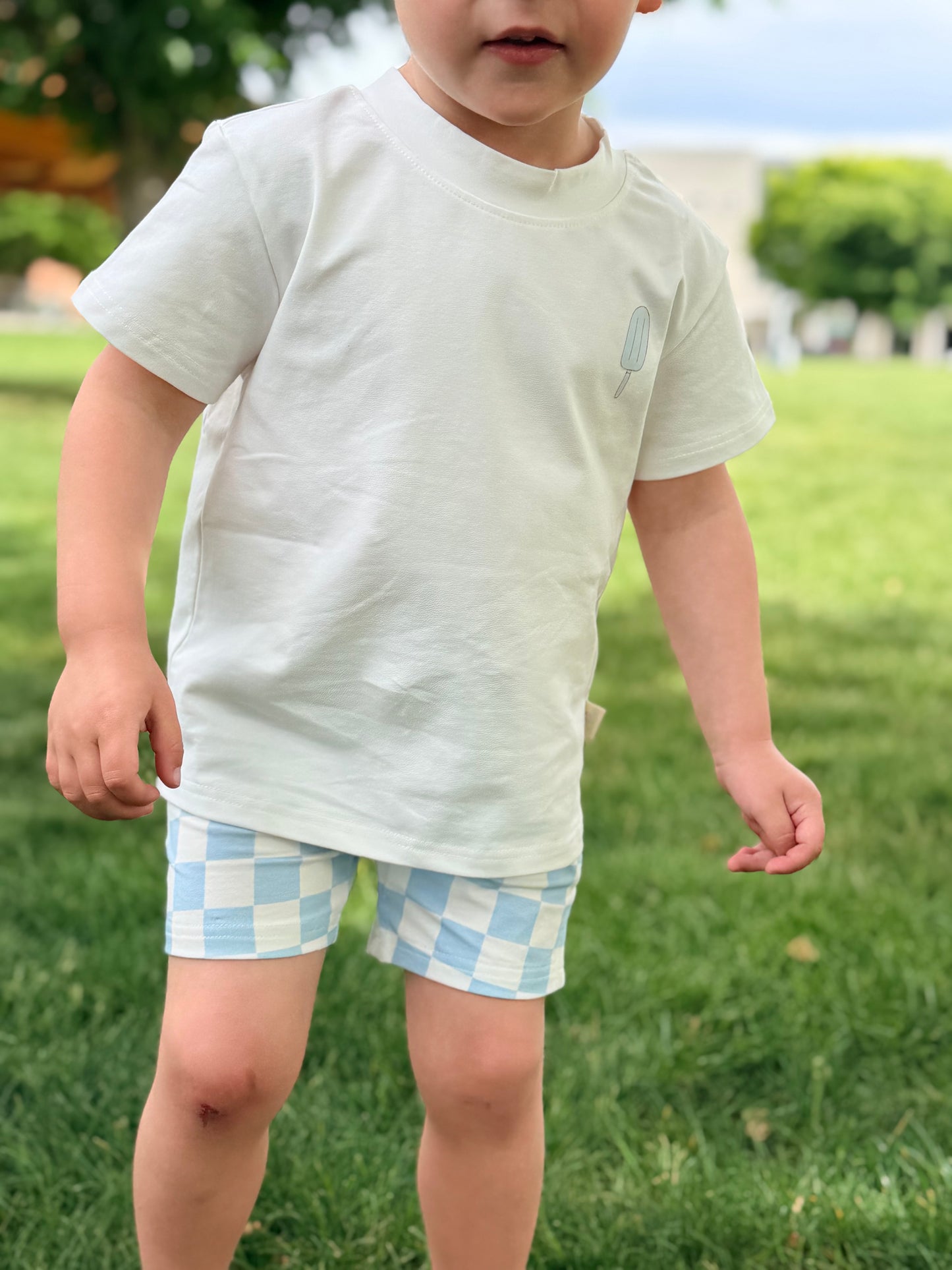 Blue Skies Check Shorts