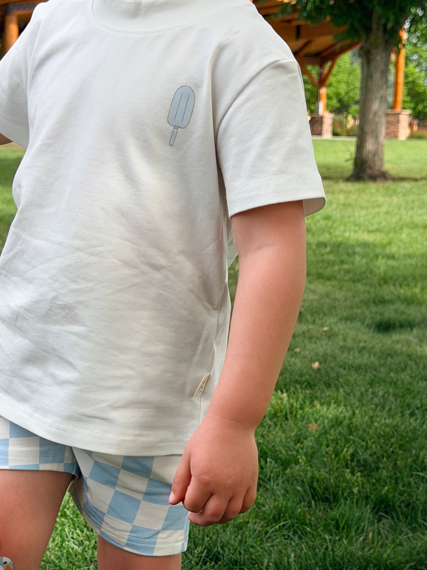 Blue Skies Check Shorts