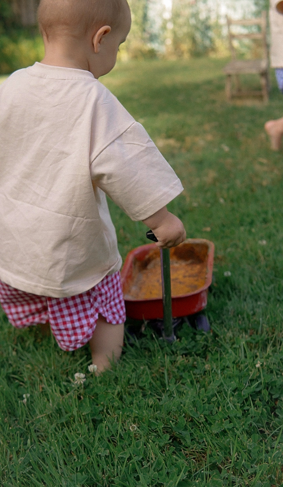 Picnic Gingham Toddler Shorts