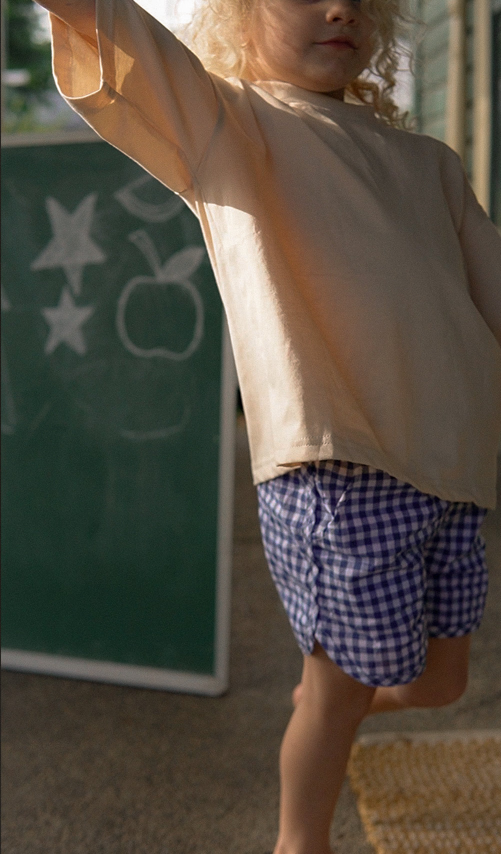 Picnic Gingham Toddler Shorts